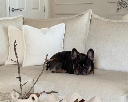 'Homes as styled by you